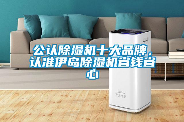 公認(rèn)除濕機十大品牌，認(rèn)準(zhǔn)伊島除濕機省錢省心