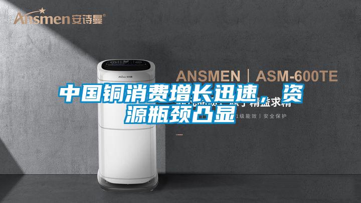 中國銅消費(fèi)增長迅速，資源瓶頸凸顯