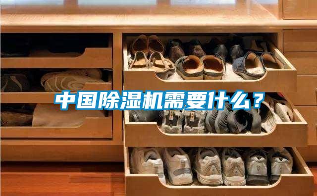 中國除濕機需要什么？