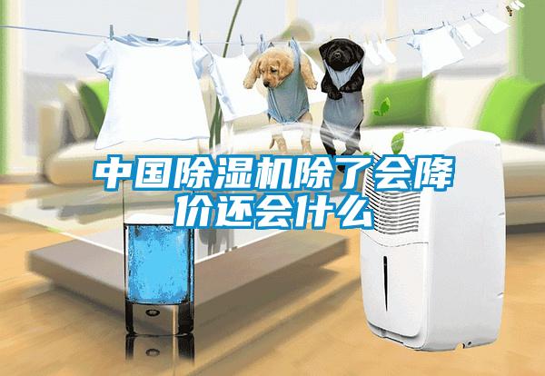中國(guó)除濕機(jī)除了會(huì)降價(jià)還會(huì)什么