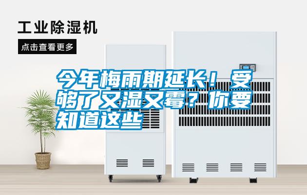 今年梅雨期延長！受夠了又濕又霉？你要知道這些