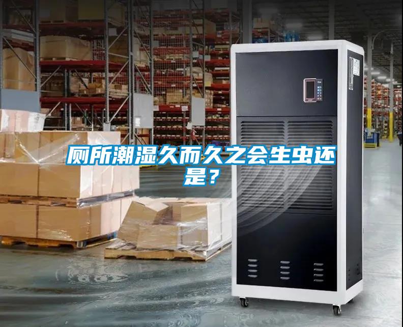 廁所潮濕久而久之會生蟲還是？