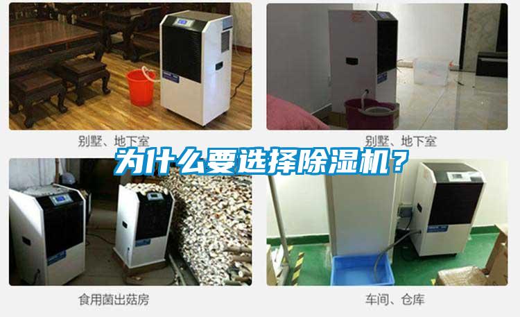 為什么要選擇除濕機？
