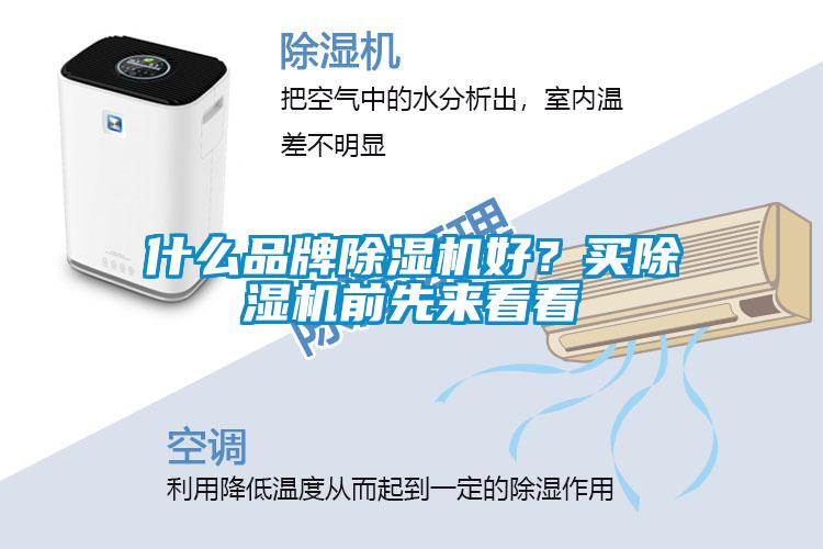 什么品牌除濕機(jī)好？買除濕機(jī)前先來看看