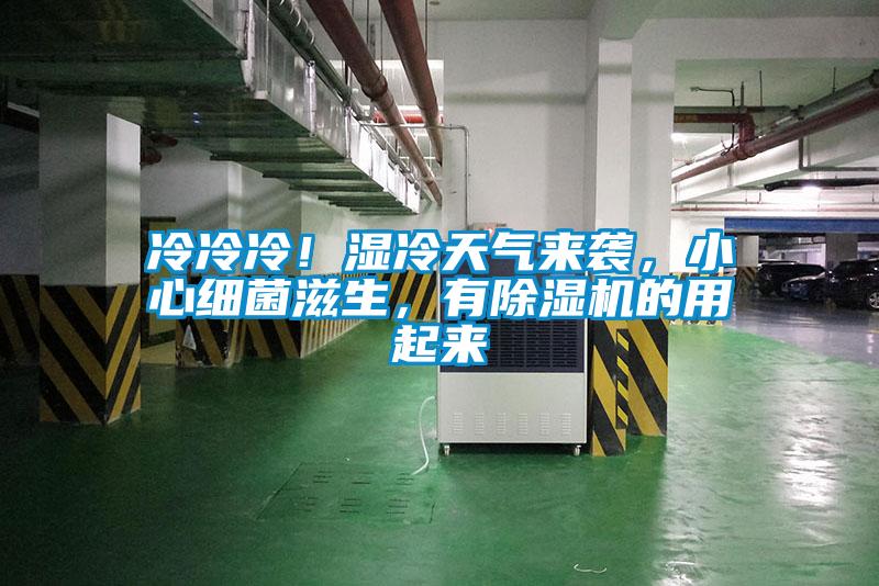 冷冷冷！濕冷天氣來襲，小心細菌滋生，有除濕機的用起來