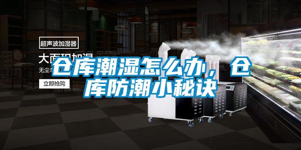 倉(cāng)庫(kù)潮濕怎么辦，倉(cāng)庫(kù)防潮小秘訣