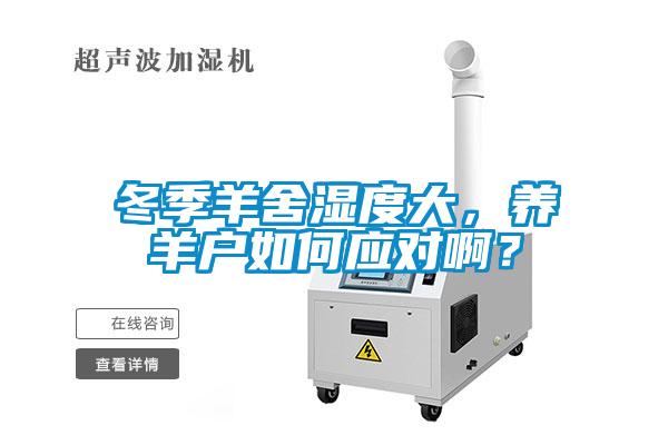 冬季羊舍濕度大，養(yǎng)羊戶(hù)如何應(yīng)對(duì)??？