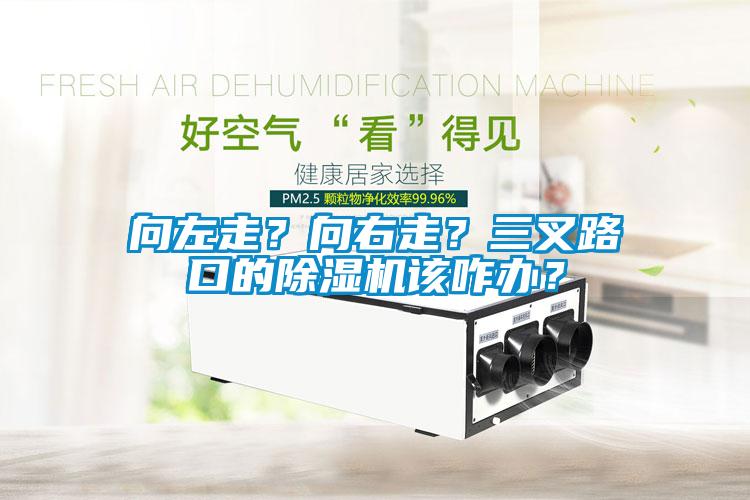 向左走？向右走？三叉路口的除濕機(jī)該咋辦？