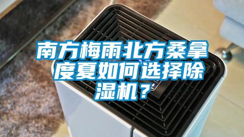 南方梅雨北方桑拿 度夏如何選擇除濕機？