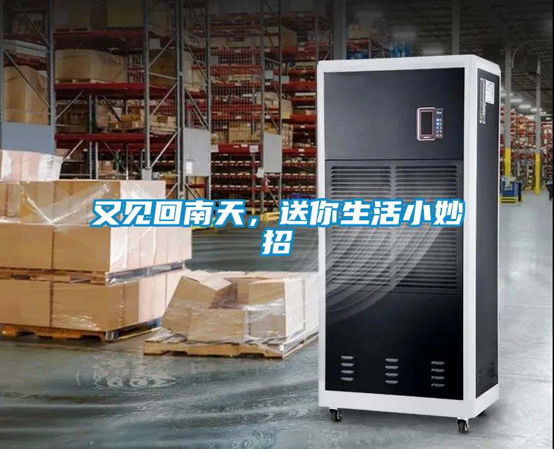 又見回南天，送你生活小妙招