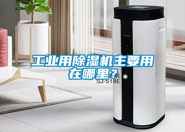 工業用除濕機主要用在哪里？