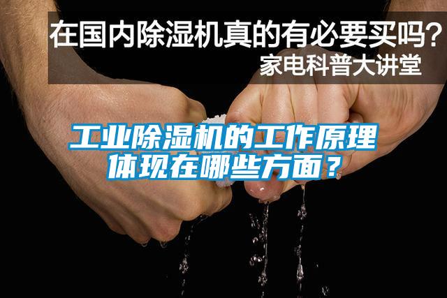 工業(yè)除濕機的工作原理體現(xiàn)在哪些方面？