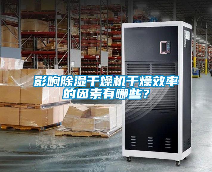 影響除濕干燥機干燥效率的因素有哪些？