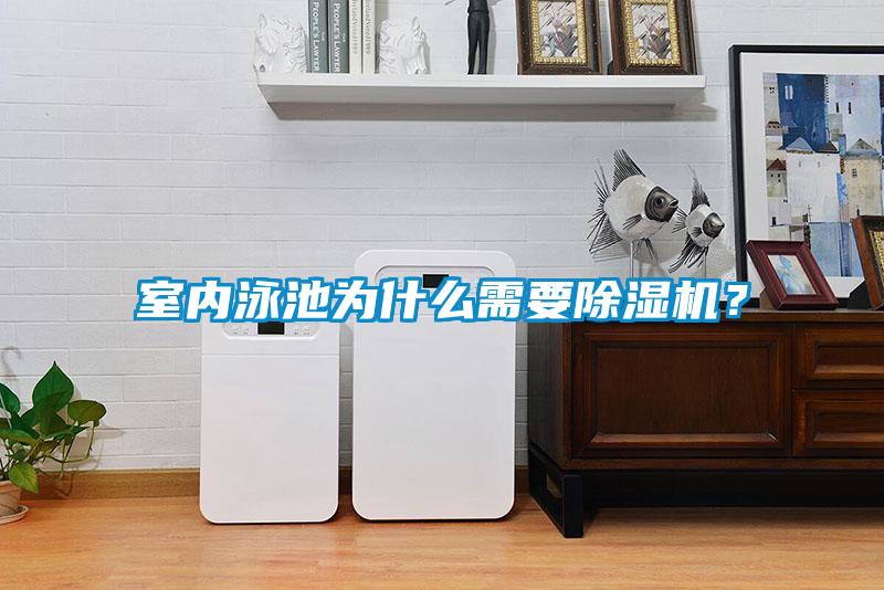室內(nèi)泳池為什么需要除濕機(jī)？