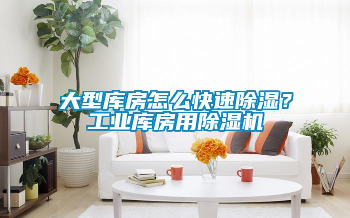 大型庫房怎么快速除濕？工業(yè)庫房用除濕機