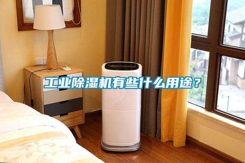 工業除濕機有些什么用途？