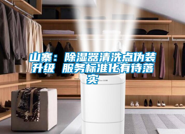 山寨：除濕器清洗點(diǎn)偽裝升級 服務(wù)標(biāo)準(zhǔn)化有待落實(shí)