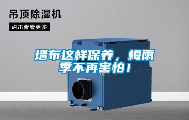墻布這樣保養，梅雨季不再害怕！