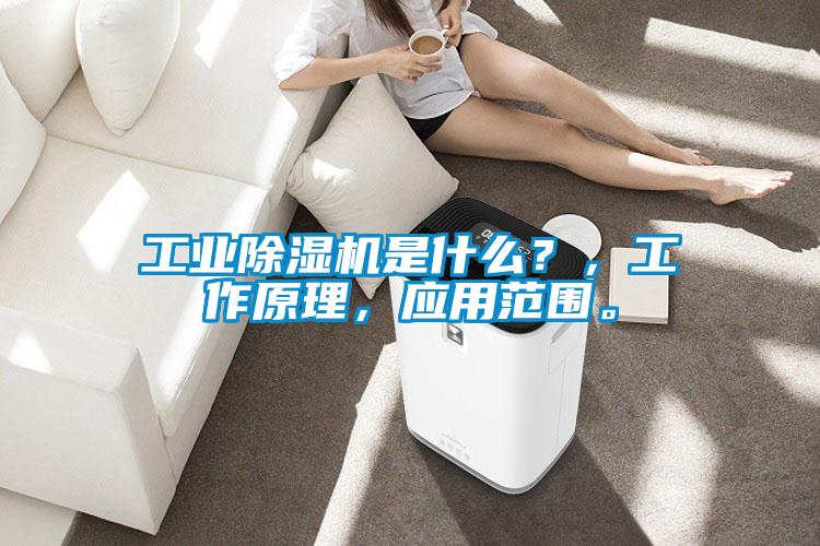 工業(yè)除濕機是什么？，工作原理，應(yīng)用范圍。