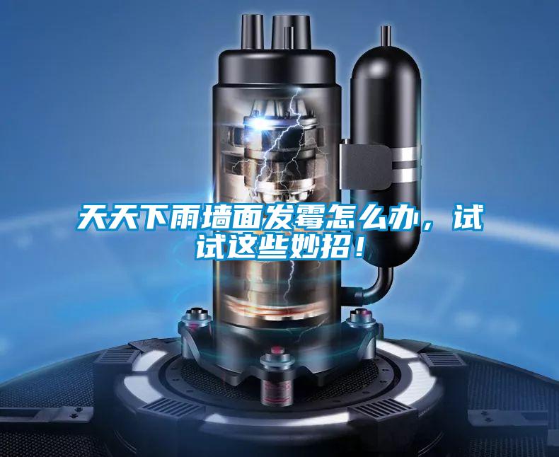 天天下雨墻面發霉怎么辦，試試這些妙招！