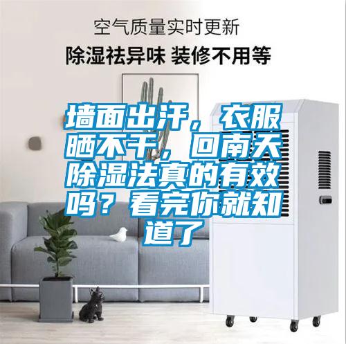 墻面出汗，衣服曬不干，回南天除濕法真的有效嗎？看完你就知道了