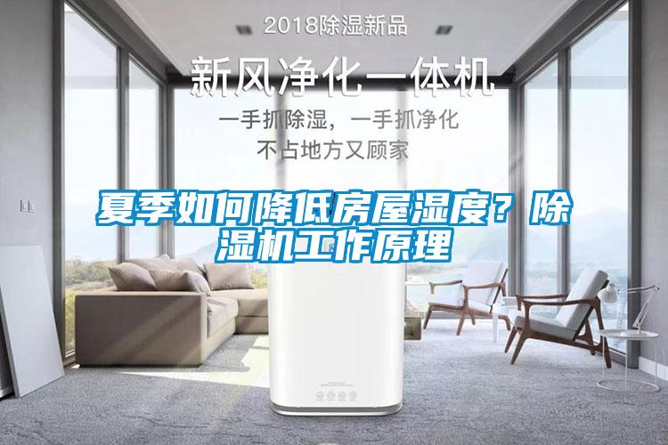 夏季如何降低房屋濕度？除濕機工作原理