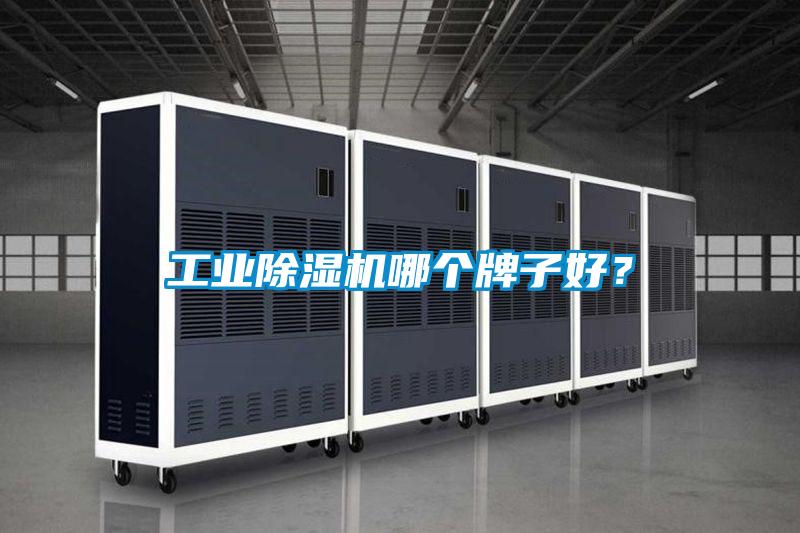 工業(yè)除濕機(jī)哪個牌子好？