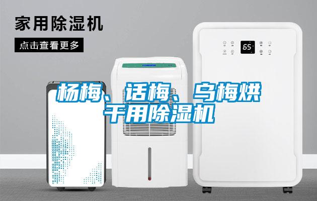 楊梅、話(huà)梅、烏梅烘干用除濕機(jī)