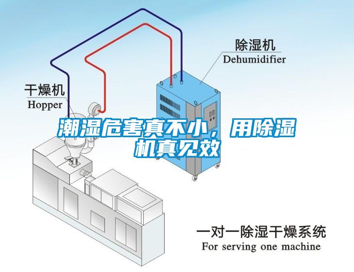 潮濕危害真不小，用除濕機(jī)真見(jiàn)效
