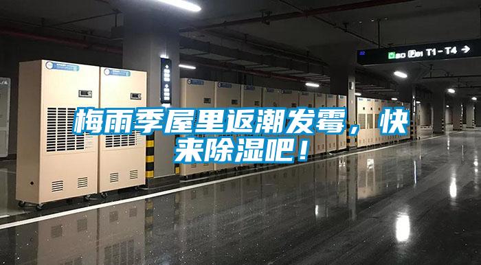 梅雨季屋里返潮發霉，快來除濕吧！