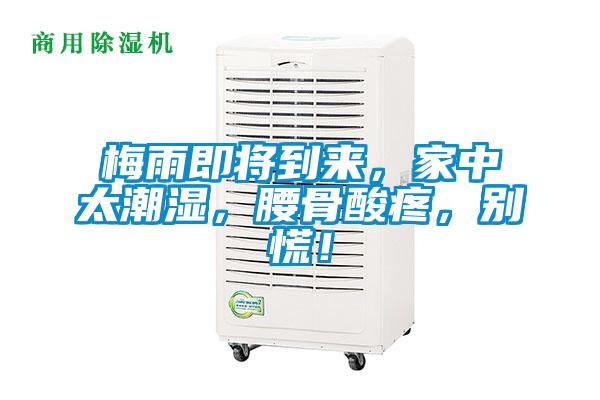 梅雨即將到來(lái)，家中太潮濕，腰骨酸疼，別慌！