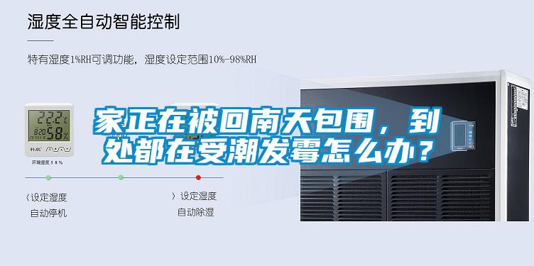 家正在被回南天包圍，到處都在受潮發霉怎么辦？