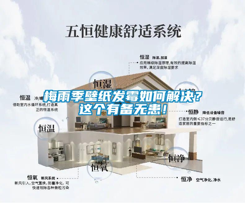 梅雨季壁紙發(fā)霉如何解決？這個有備無患！
