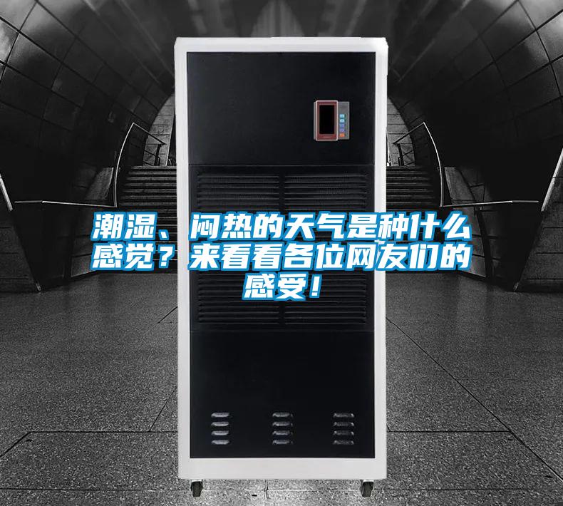 潮濕、悶熱的天氣是種什么感覺？來看看各位網(wǎng)友們的感受！