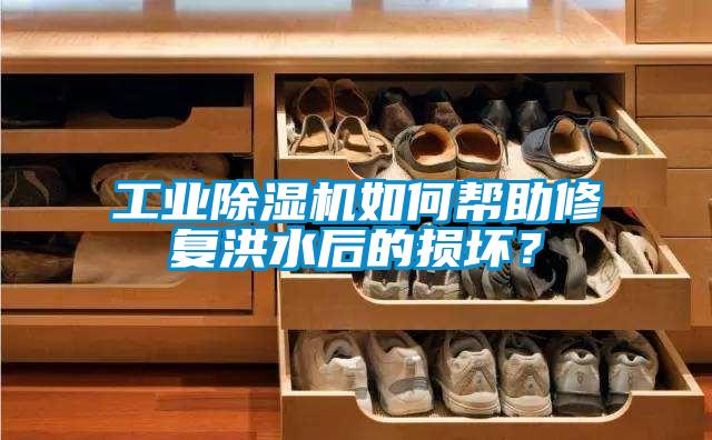 工業除濕機如何幫助修復洪水后的損壞？