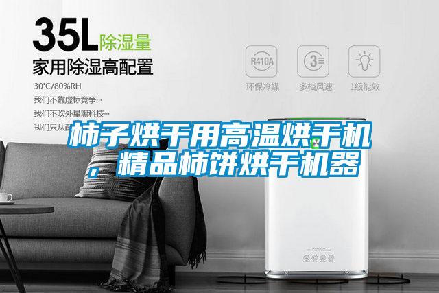 柿子烘干用高溫烘干機，精品柿餅烘干機器