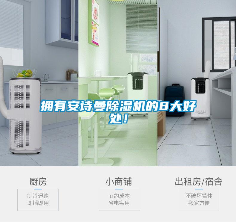 擁有安詩(shī)曼除濕機(jī)的8大好處！