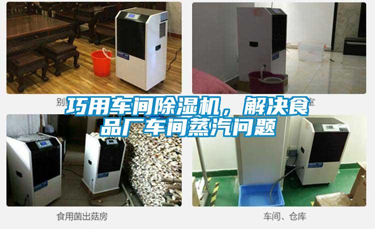 巧用車(chē)間除濕機(jī)，解決食品廠車(chē)間蒸汽問(wèn)題