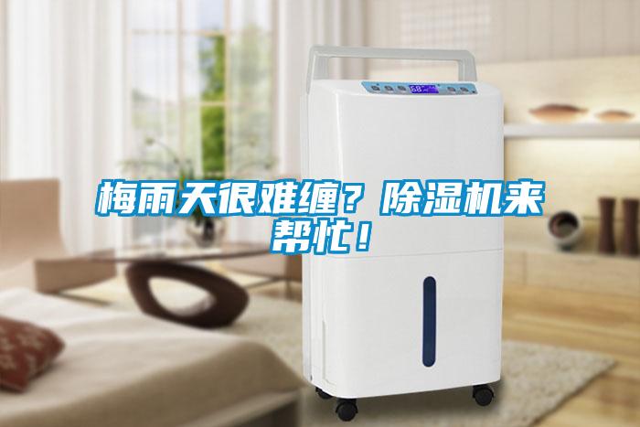 梅雨天很難纏？除濕機來幫忙！