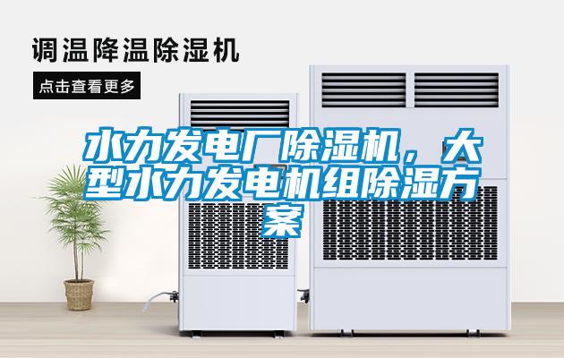 水力發電廠除濕機，大型水力發電機組除濕方案