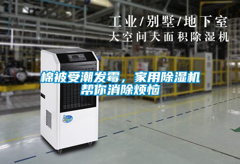 棉被受潮發(fā)霉，家用除濕機幫你消除煩惱
