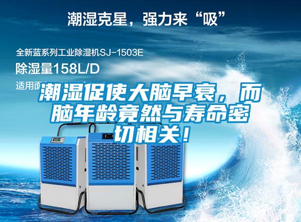 潮濕促使大腦早衰，而腦年齡竟然與壽命密切相關！