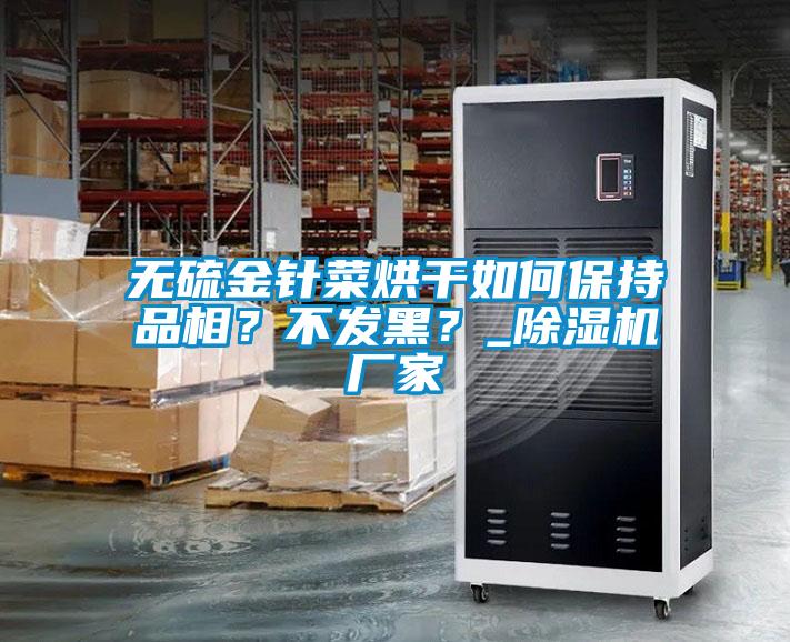 無硫金針菜烘干如何保持品相？不發(fā)黑？_除濕機(jī)廠家