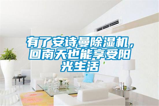有了安詩曼除濕機，回南天也能享受陽光生活
