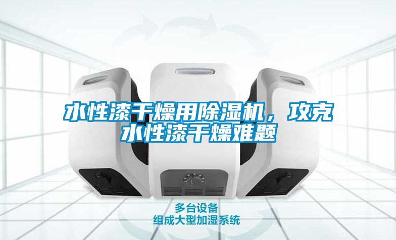 水性漆干燥用除濕機,攻克水性漆干燥難題
