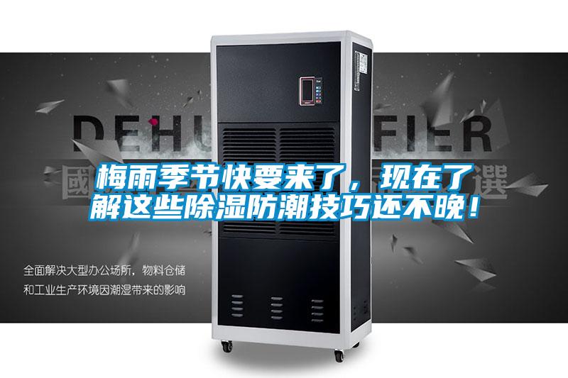 梅雨季節快要來了，現在了解這些除濕防潮技巧還不晚！