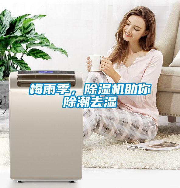 梅雨季，除濕機助你除潮去濕