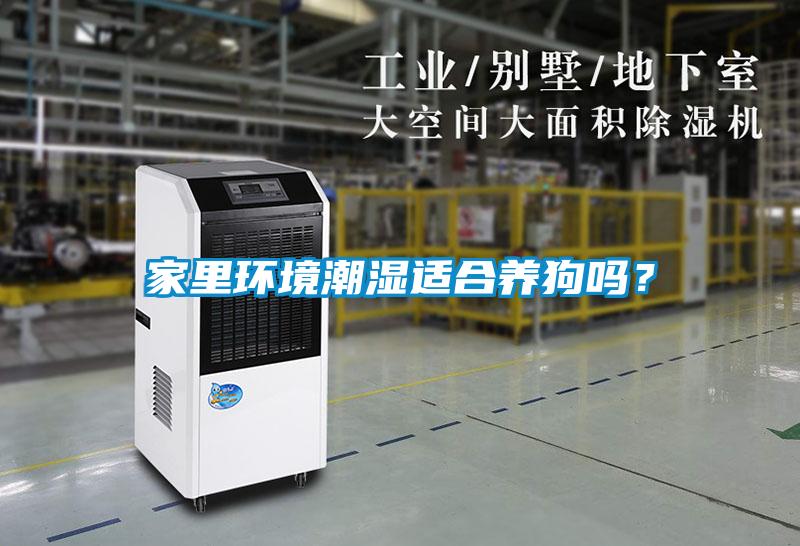 家里環境潮濕適合養狗嗎？