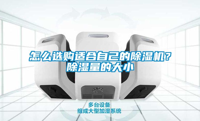 怎么選購(gòu)適合自己的除濕機(jī)？除濕量的大小