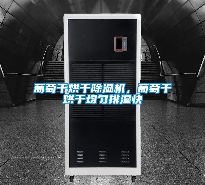 葡萄干烘干除濕機，葡萄干烘干均勻排濕快